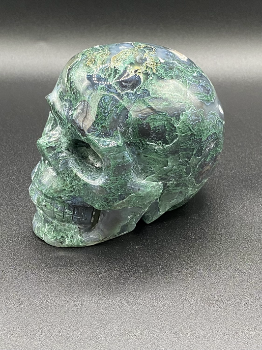 Port-Au-Prince image 1